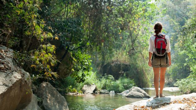 Forest Bathing is the Latest Fitness Trend to Hit U.S.