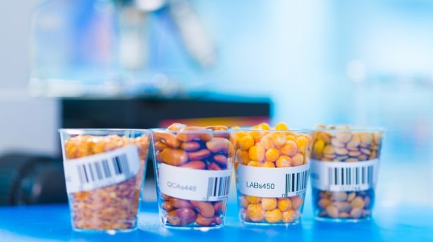 What Makes People Queasy About Engineered Foods