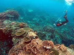 Australian State Buys Cattle Station To Help Barrier Reef
