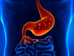 How to Feed a Happy, Healthy Gut How to Feed a Happy, Healthy Gut