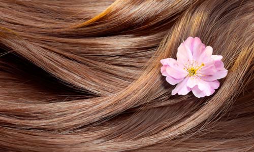 4 टिप्‍स जो बनाएंगे आपके बालों को लंबा और घना