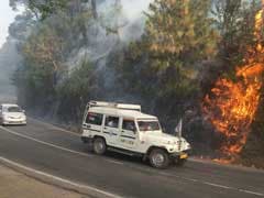 Himachal Forest Fires: Commuters Face Tough Time Near Solan