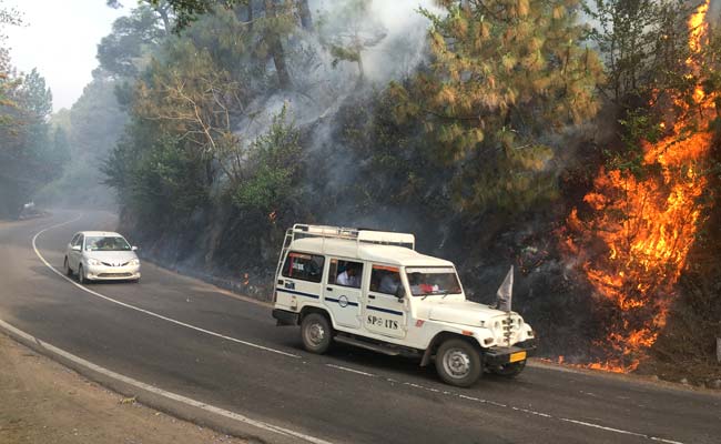 Himachal Forest Fires: Commuters Face Tough Time Near Solan