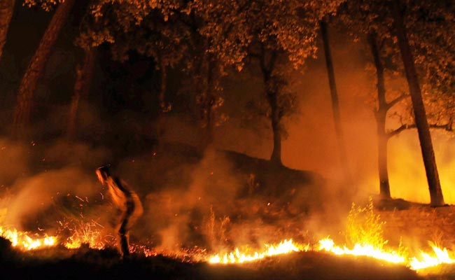 Centre Assures Himachal Government Of All Help In Dousing Forest Fire