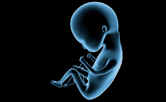 30 सालों से जमे भ्रूण से पैदा हुए जुड़वां बच्चे… वैज्ञानिकों ने ऐसे किया यह कारनामा