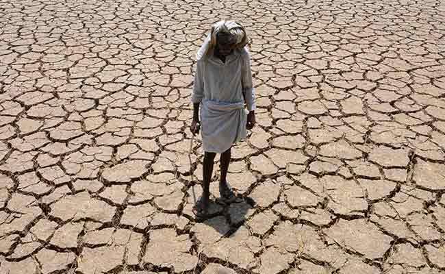 More Than 300 Million Indians Suffer From A Crippling Drought
