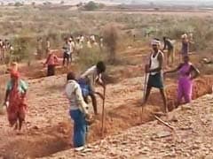 MGNREGA Funds Amounting To Rs 51,600 Crore Released To States This Fiscal