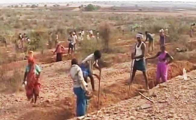 मोदी सरकार का दावा - मनरेगा से पलायन रोकने में मदद मिली