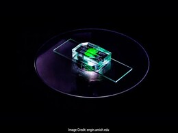 'Kidney On A Chip' May Lead To Safer Drug Dosing 'Kidney On A Chip' May Lead To Safer Drug Dosing