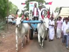 Karunanidhi's Youngest Son Rides A Bullock Cart To Reach Out To Voters