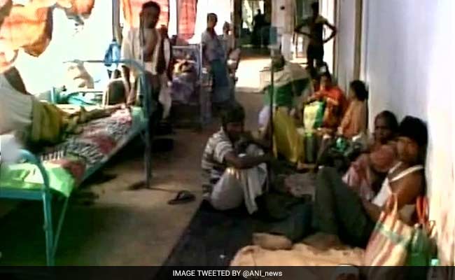 4 Dead In Malda Explosion Were Trinamool Men Making Crude Bombs: Congress