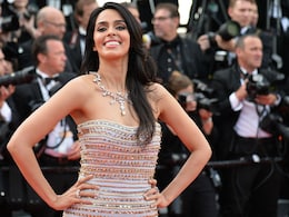 Cannes Begins. Mallika Sherawat Did Good on the Red Carpet Cannes Begins. Mallika Sherawat Did Good on the Red Carpet