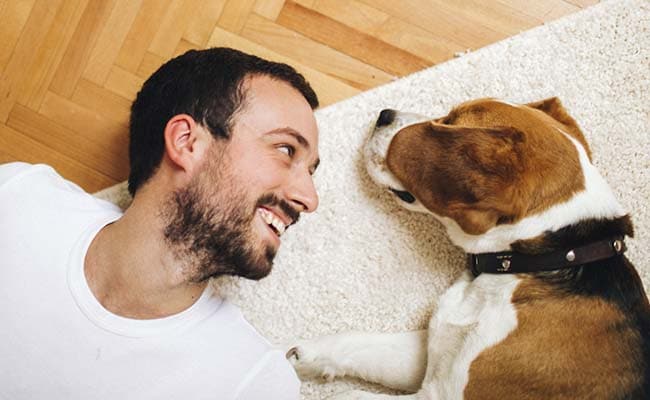 True Love? Dog's Heart Beats In Sync With Its Owner: Study