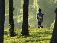 Massive Search For Japanese Boy Left in Forest by Parents As Punishment