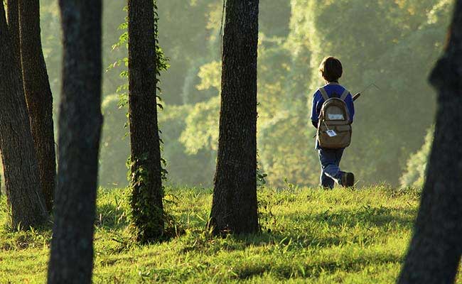 Massive Search For Japanese Boy Left in Forest by Parents As Punishment