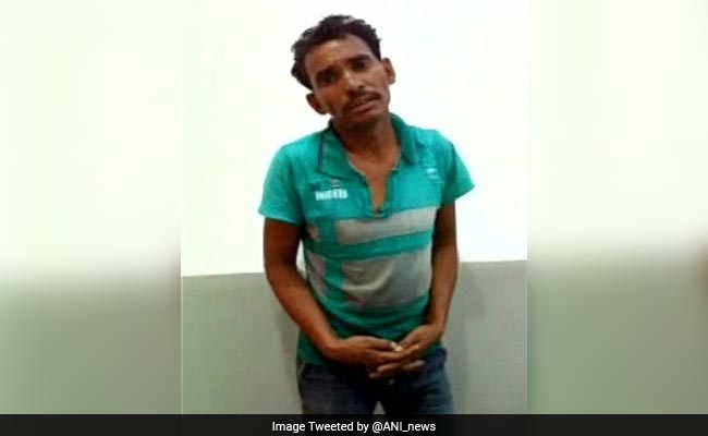 Drunk Man Who Entered Lion Enclosure Gets 4 Months In Jail