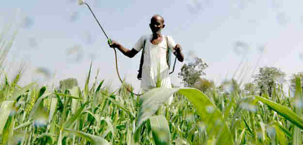 Cut Usage Of Chemical Fertilsers, Pesticides, PM Modi Tells Farmers