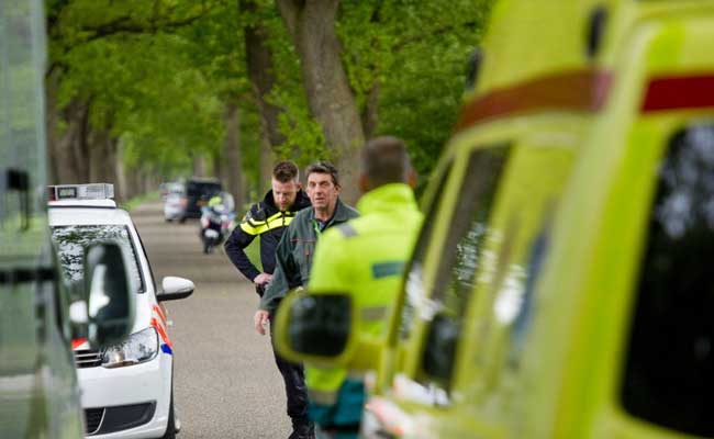 Not-So-Great Escape: 2 Tigers Recaptured In Dutch Sanctuary