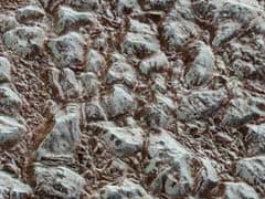 NASA Probe Beams Best Close-Up Images Of Pluto