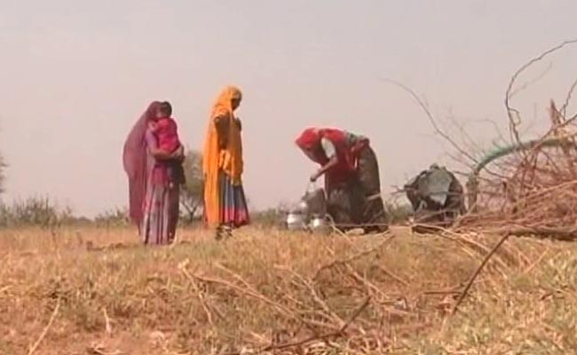 13,500 Villages In Rajasthan Run Out of Drinking Water As Crisis Deepens