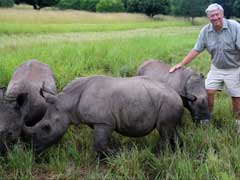 African Rhinos To Be Flown To Australia To Escape Poachers