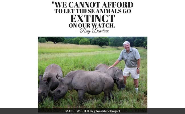 African Rhinos To Be Flown To Australia To Escape Poachers