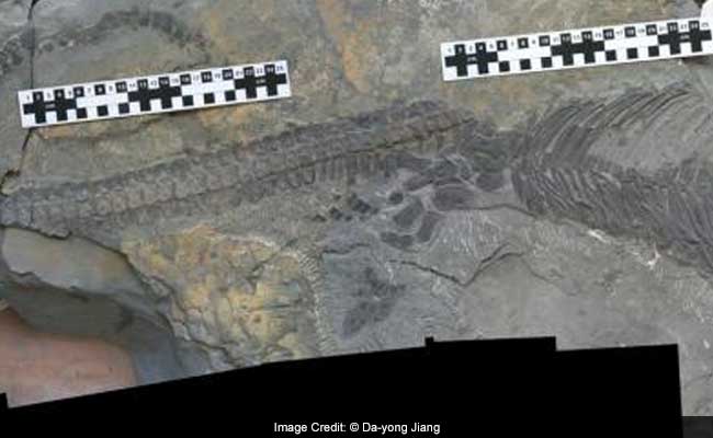 This Bizarre Sea Monster Shows How Strange Life Gets After An Apocalypse