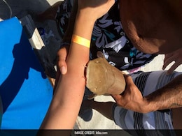 Doc, Please Help, I Have A Shark Stuck To My Arm Doc, Please Help, I Have A Shark Stuck To My Arm