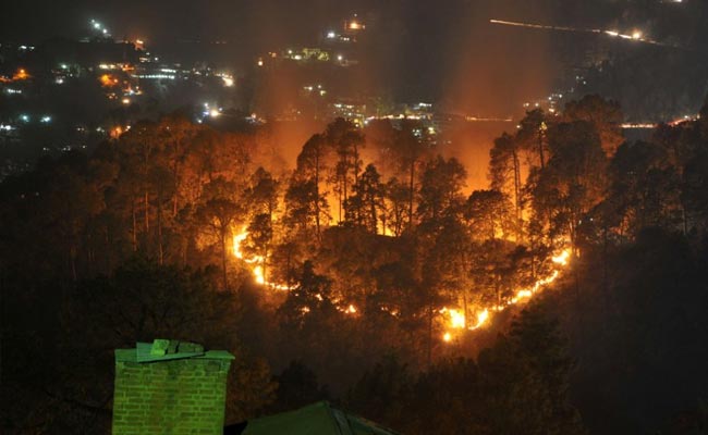 Forest Fires: Green Court Issues Show Cause Notices To Uttarakhand, Himachal