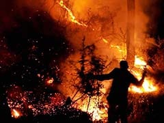 Forest Fires Flare Close To Famous Shimla Railway