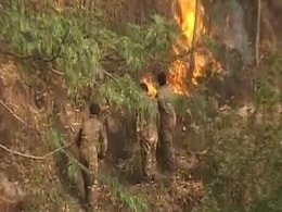 हिमाचल में जंगल की आग - इंसानी गलती या सोची-समझी साजिश? हिमाचल में जंगल की आग - इंसानी गलती या सोची-समझी साजिश?