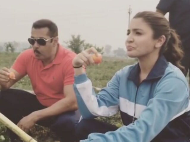Punjab Ke Kheton Mein: What Salman, Anushka Did Offscreen