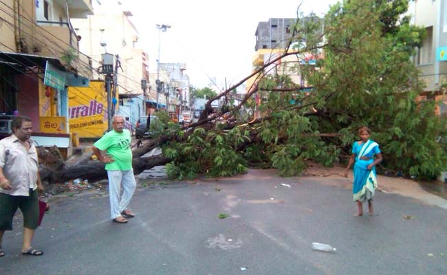 Heavy Rains Wreak Havoc Telangana, Andhra Pradesh
