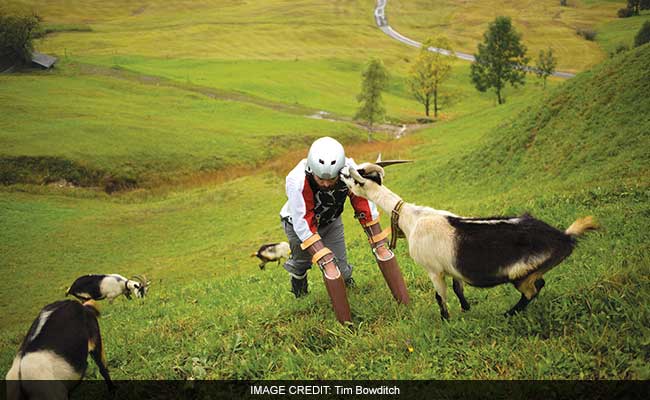 Man-Goat' Among Winners Of Spoof Nobel Prizes