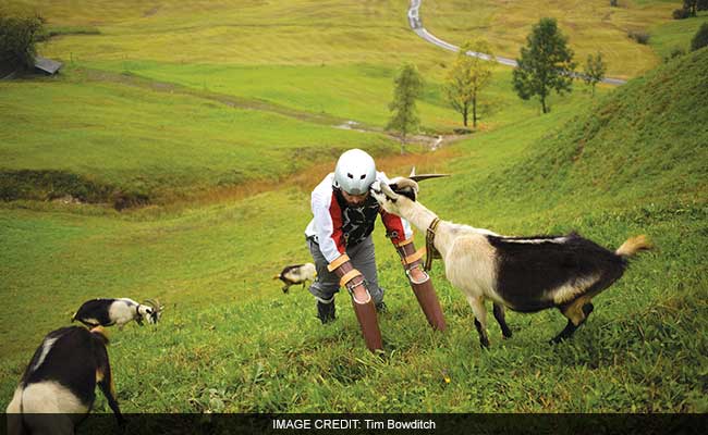 British Researcher Lived As A Goat For Nearly A Week