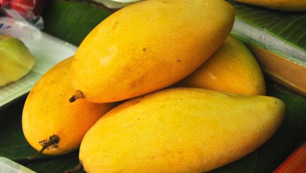 Latest and Breaking News on NDTV Latest and Breaking News on NDTV