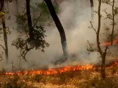 Lok Sabha Members Express Concern Over Uttarakhand Forest Fires