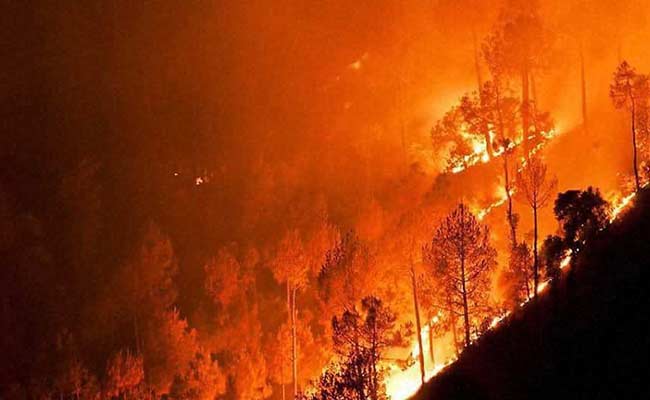 To Prevent Repeat Of Uttarakhand Fires, Focus On Women. 10 Suggestions.