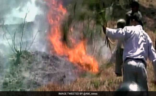 Forest Fires Back In Uttarakhand As Heat Wave Intesifies
