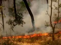 Uttarakhand Forest Fires: Centre Says Situation Under Control