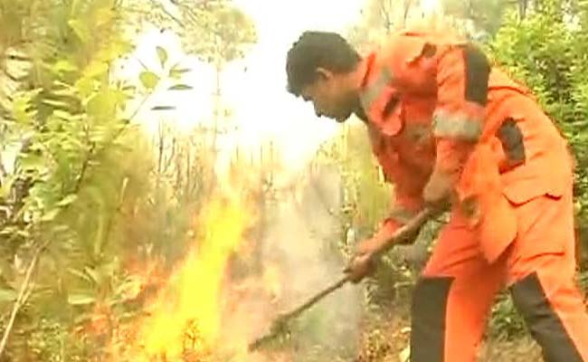 8 Men, 8 Hours: That's What It Took To Douse Fire On 1 Hill Of Uttarakhand