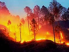 Forest Fires: Green Panel Seeks Uttarakhand Reply On Plea For CBI Inquiry