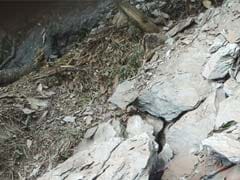 6 Killed As Landslides Hit Sikkim