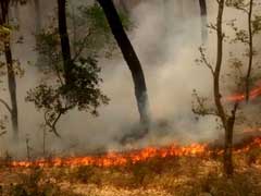 जंगलों की आग में जलता उत्तराखंड, काबू करने में जुटीं कई टीमें, सांस लेने में हो रही है दिक्कत