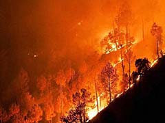 उत्तराखंड के जंगलों में आग लगने के मामले में नैनीताल हाईकोर्ट के आदेशों पर रोक