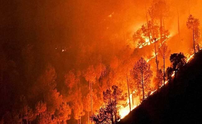 In Uttarakhand Fires, Devastating Impact On Glaciers, Birds: 10 Developments