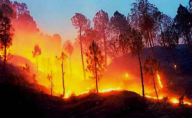 उत्तराखंड और हिमाचल में आग : NGT ने सरकारों को जारी किया कारण बताओ नोटिस