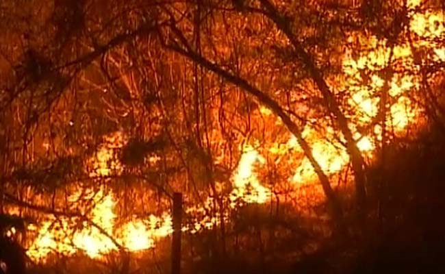 धधकता उत्तराखंड : केंद्र सरकार का 90 फीसदी आग पर काबू पाने का दावा