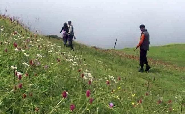 3 Years After Kedarnath Tragedy, Valley Of Flowers To Re-Open Tomorrow