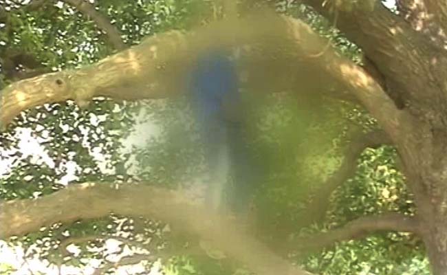Man Found Hanging Near Parliament, 23-Page Suicide Note Found